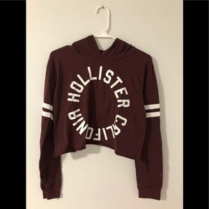 Cropped Long-Sleeve Hollister Top